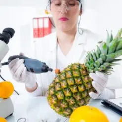Kim Nguyễn AgroTech