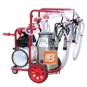 Máy vắt sữa bò đôi di động