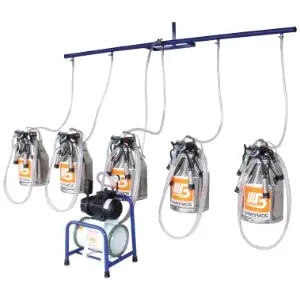 Giàn máy vắt sữa cố định