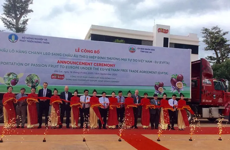 Nước ép chanh leo
