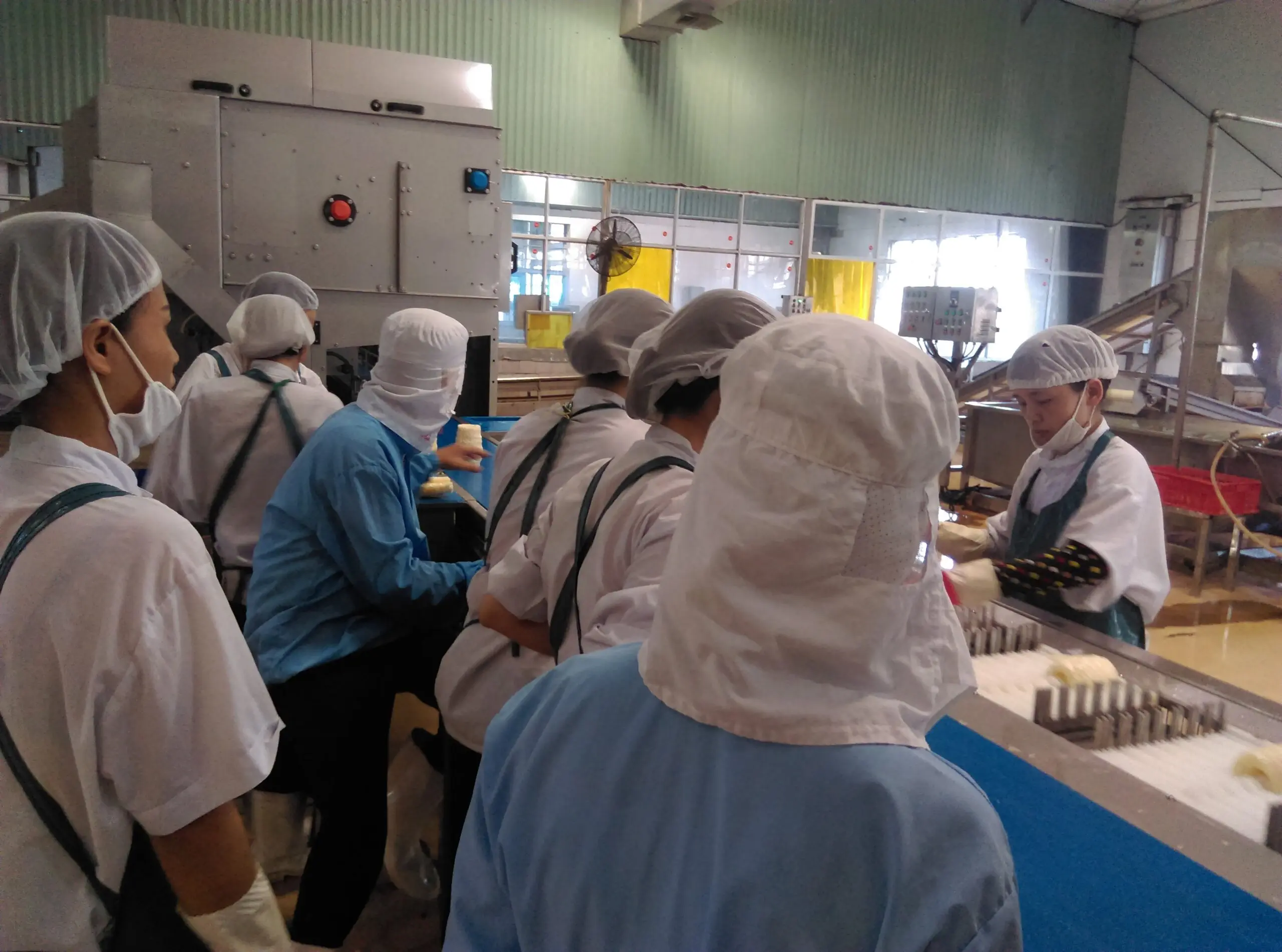 Dứa Doveco