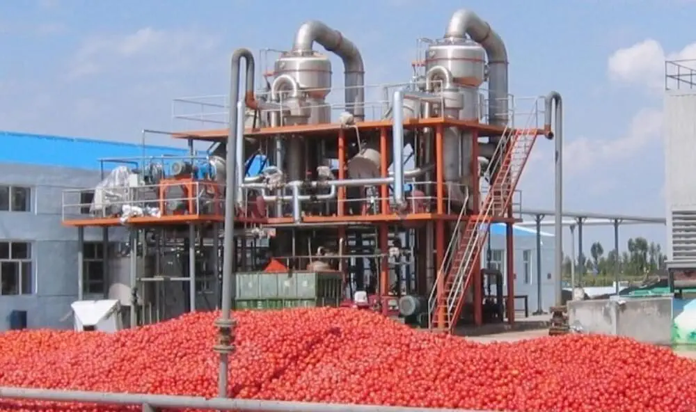 Thiết bị bay hơi cô đặc nước cà chua