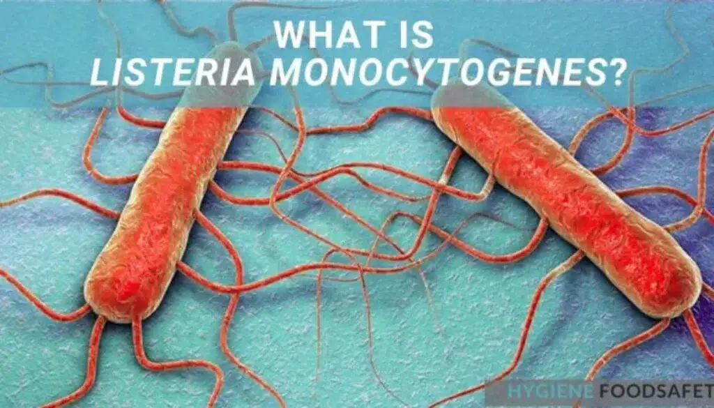 Hiểu về Vi khuẩn Listeria: Rủi ro, Phòng ngừa và Bùng phát