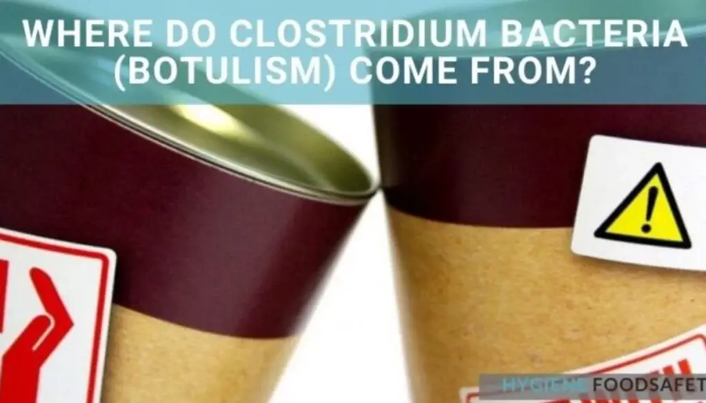 Vi khuẩn Clostridium botulinum và Perfringens đến từ đâu?