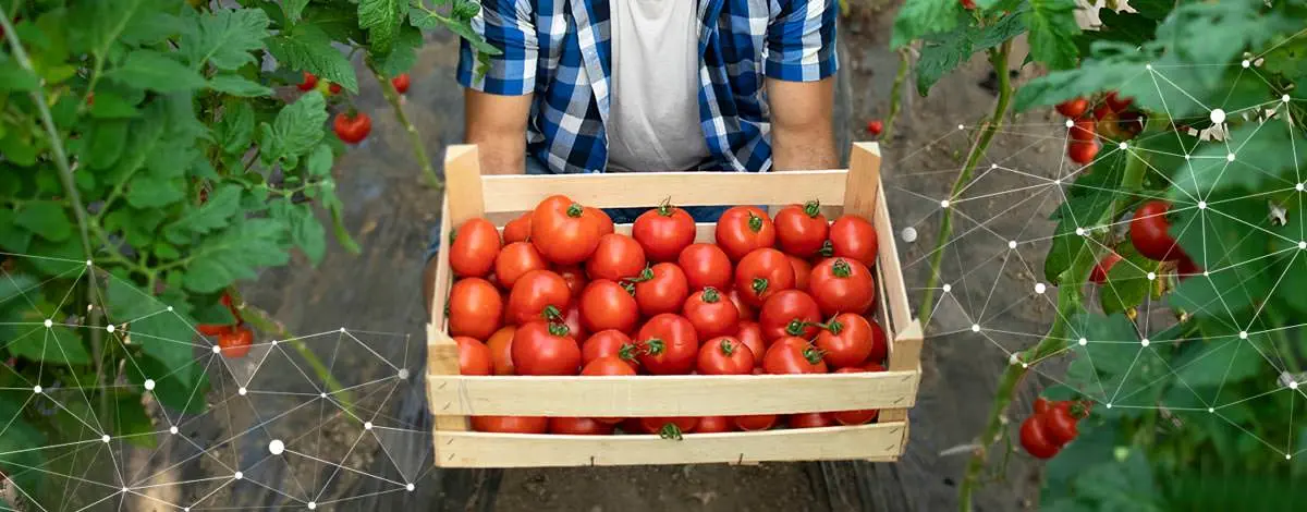 Sản xuất trang trại hiệu quả thông qua chia sẻ kiến thức