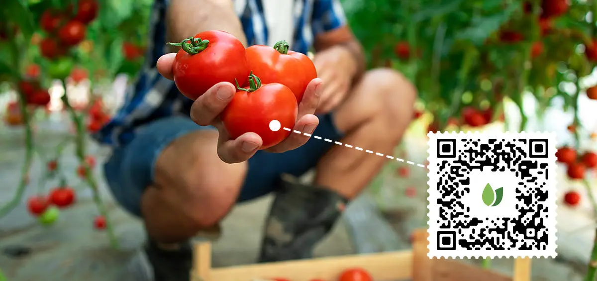 Truy xuất nguồn gốc thực phẩm: Câu chuyện đằng sau thực phẩm bạn ăn