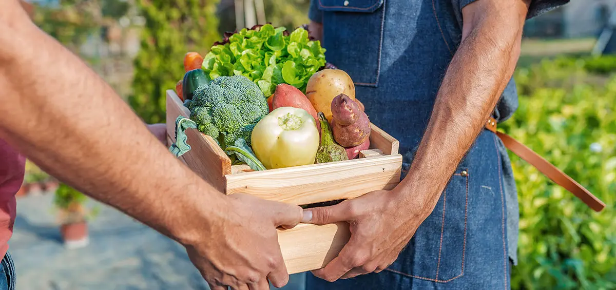 Mọi điều Nông dân nên biết về giao dịch hàng hóa