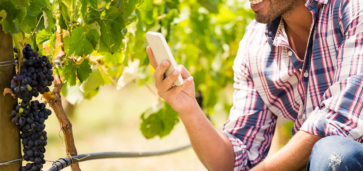 Truy xuất nguồn gốc rượu hoàn chỉnh với Tiện ích bổ trợ Nhà máy rượu AGRIVI