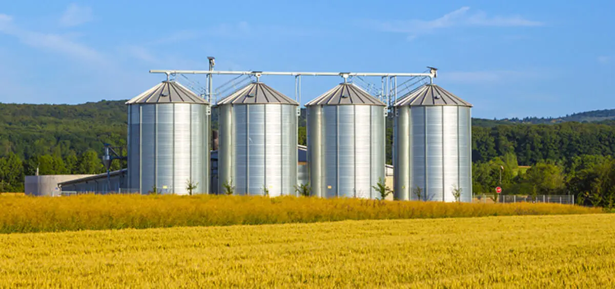Nghệ thuật quản lý chất lượng hạt với silo