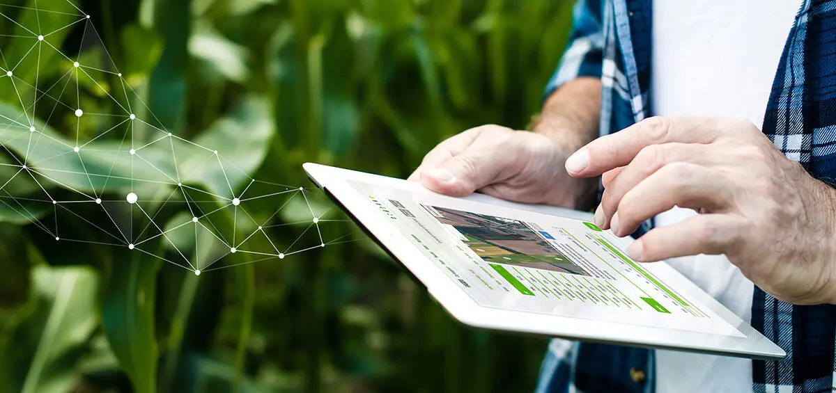 Áp dụng Thực hành Canh tác Tích hợp với Hệ thống Quản lý Trang trại AGRIVI