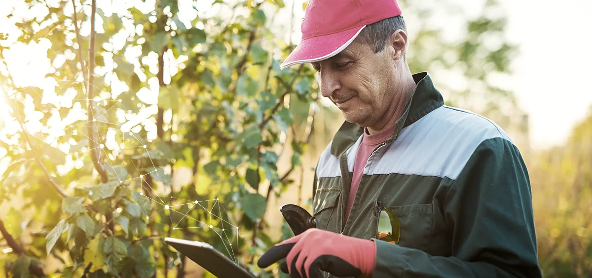 Duy trì độ che phủ của Orchard với Hệ thống quản lý trang trại AGRIVI