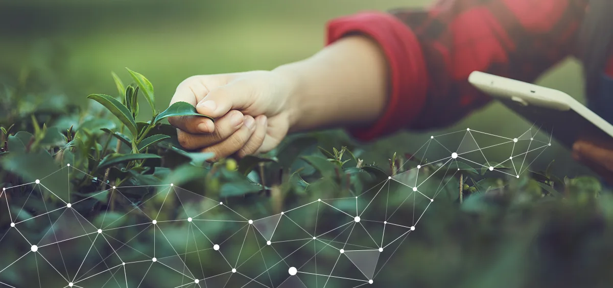 Lợi ích của việc sử dụng Precision Farming