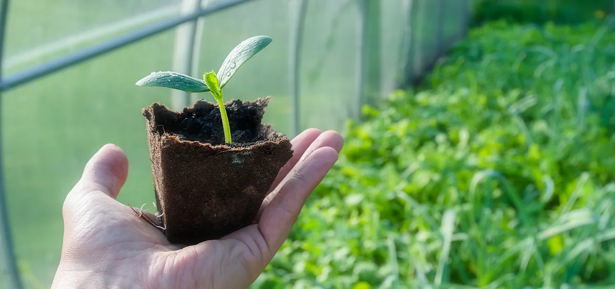 Canh tác trong môi trường được kiểm soát