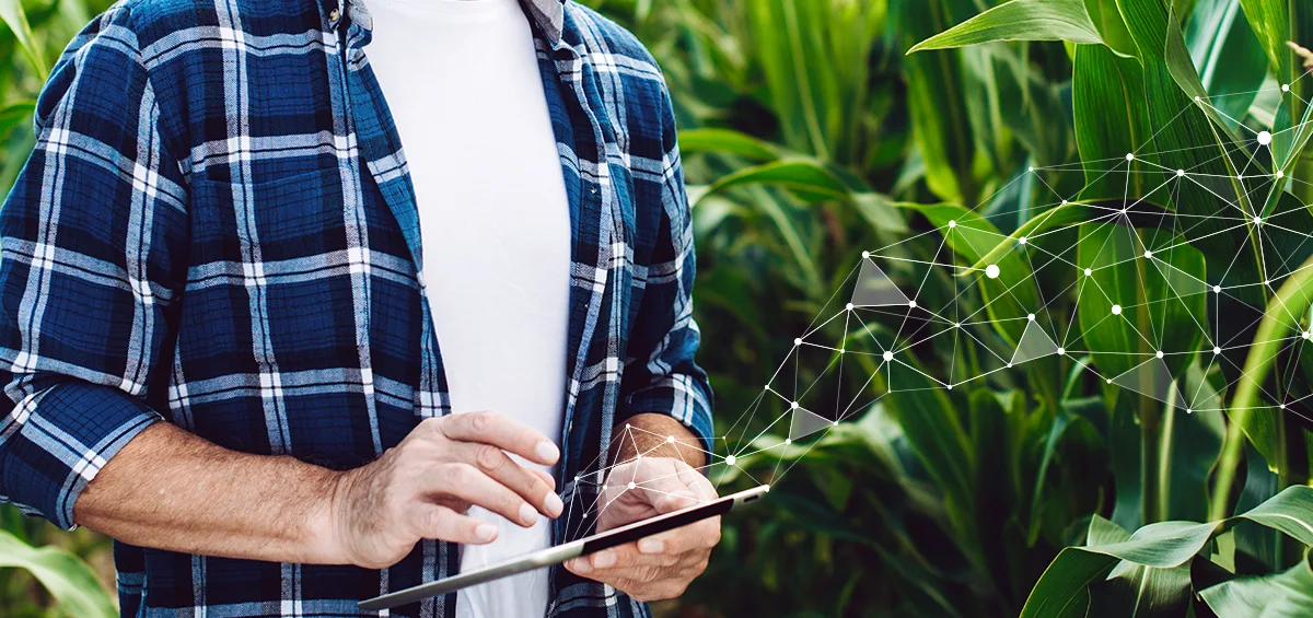 Tuân thủ Thực hành Canh tác Tốt với Hệ thống Quản lý Trang trại AGRIVI