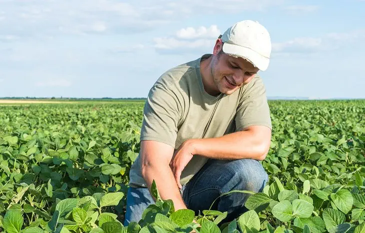 Quản lý trang trại của bạn đúng cách với phần mềm AGRIVI